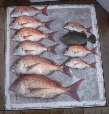 敏栄丸の2025年9月11日(木)1枚目の写真