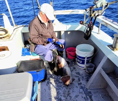 遊漁船ビックボーイの2025年9月12日(金)1枚目の写真