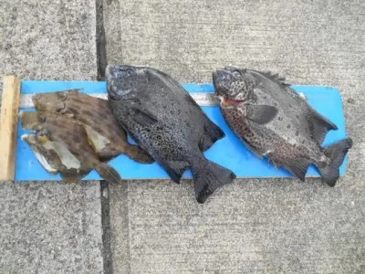 貴富丸の2025年8月26日(火)1枚目の写真