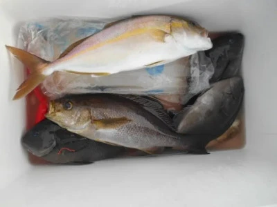 貴富丸の2025年8月30日(土)1枚目の写真