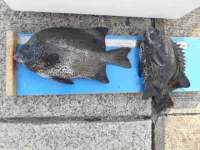 貴富丸の2025年9月9日(火)1枚目の写真