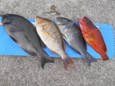 貴富丸の2025年9月10日(水)1枚目の写真