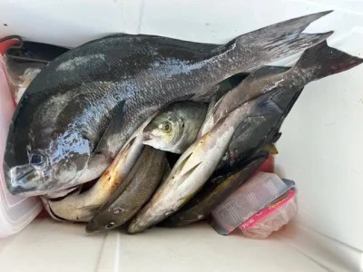 乙島丸の2025年8月25日(月)2枚目の写真