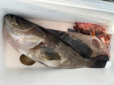 乙島丸の2025年8月25日(月)3枚目の写真