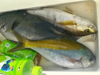 乙島丸の2025年8月27日(水)1枚目の写真