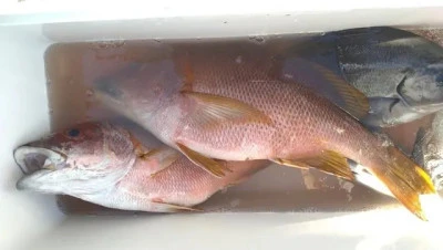 乙島丸の2025年9月1日(月)1枚目の写真