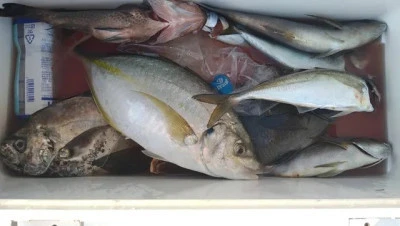 乙島丸の2025年9月3日(水)1枚目の写真