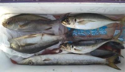 乙島丸の2025年9月3日(水)2枚目の写真