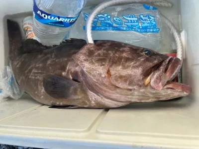 乙島丸の2025年9月8日(月)1枚目の写真