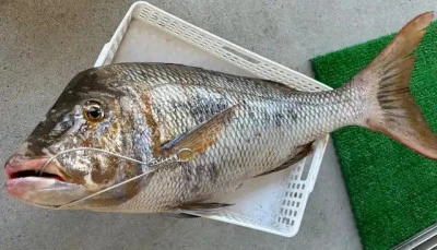 乙島丸の2025年9月8日(月)2枚目の写真