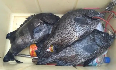 乙島丸の2025年9月8日(月)3枚目の写真