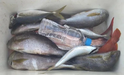 乙島丸の2025年8月26日(火)1枚目の写真