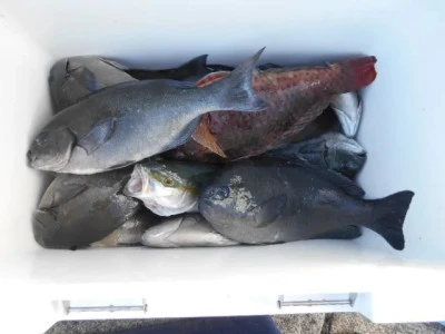 貴富丸の2025年8月31日(日)1枚目の写真