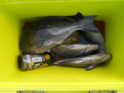 貴富丸の2025年8月31日(日)2枚目の写真