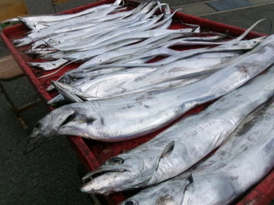 奥村釣船の2025年9月14日(日)2枚目の写真