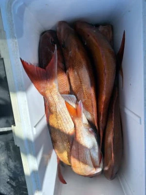 すずらん21の2025年9月13日(土)5枚目の写真