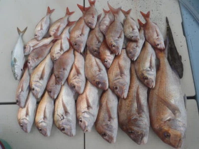 まお丸の2025年9月10日(水)1枚目の写真