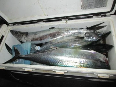 鈴木釣具店の2025年9月11日(木)1枚目の写真