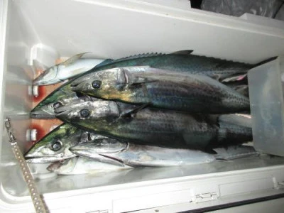 鈴木釣具店の2025年9月11日(木)2枚目の写真