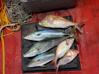 佑美丸の2025年9月16日(火)1枚目の写真