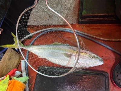 佑美丸の2025年9月16日(火)2枚目の写真