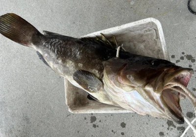 乙島丸の2025年9月15日(月)1枚目の写真