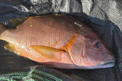 乙島丸の2025年9月15日(月)2枚目の写真