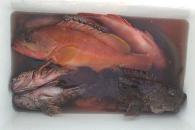 乙島丸の2025年9月15日(月)3枚目の写真