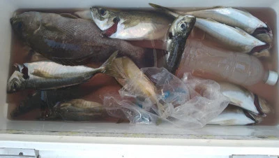 乙島丸の2025年9月15日(月)4枚目の写真