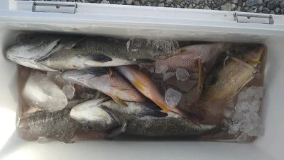 乙島丸の2025年9月15日(月)5枚目の写真