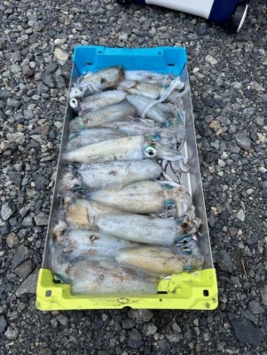 あみや渡船の2025年9月18日(木)2枚目の写真