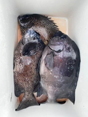 丸銀釣りセンターの2025年9月12日(金)1枚目の写真