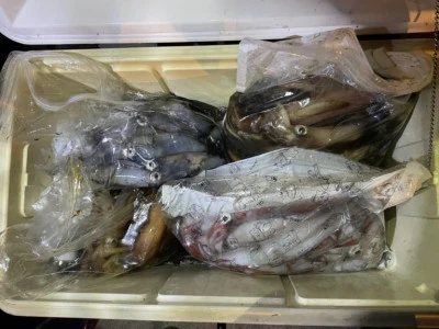 第３ 正幸丸の2025年9月12日(金)1枚目の写真