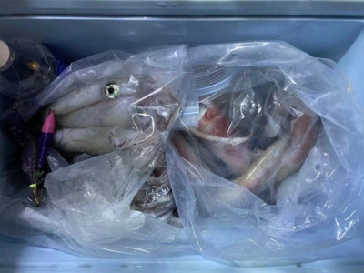 第３ 正幸丸の2025年9月12日(金)2枚目の写真