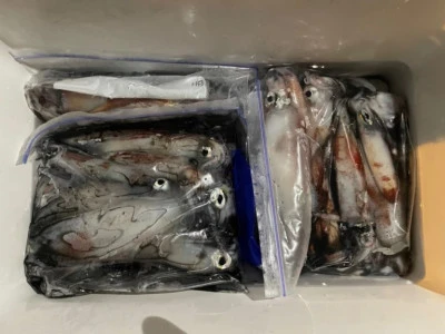 第３ 正幸丸の2025年9月13日(土)4枚目の写真