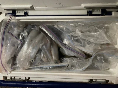 第３ 正幸丸の2025年9月13日(土)5枚目の写真