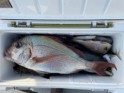 第３ 正幸丸の2025年9月14日(日)2枚目の写真