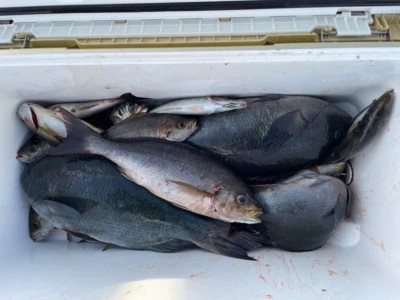 第３ 正幸丸の2025年9月14日(日)3枚目の写真