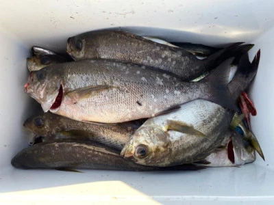 第３ 正幸丸の2025年9月15日(月)2枚目の写真