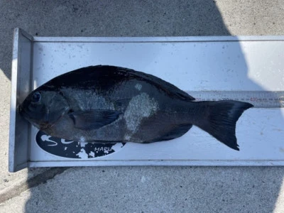 第３ 正幸丸の2025年9月16日(火)2枚目の写真