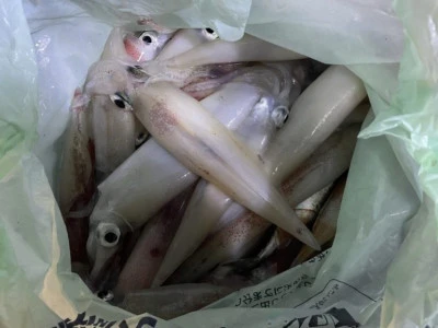 第３ 正幸丸の2025年9月17日(水)1枚目の写真