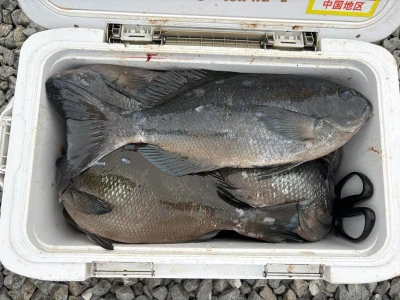 ふかしま丸の2025年9月13日(土)3枚目の写真
