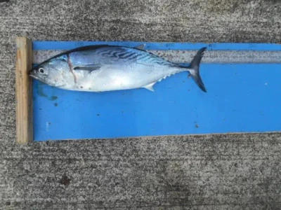 貴富丸の2025年9月17日(水)1枚目の写真