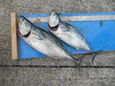 貴富丸の2025年9月18日(木)1枚目の写真