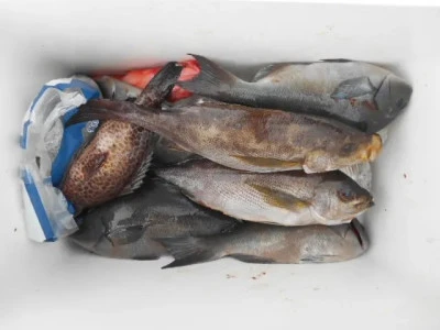 貴富丸の2025年9月18日(木)2枚目の写真