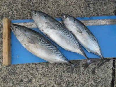 貴富丸の2025年9月18日(木)3枚目の写真