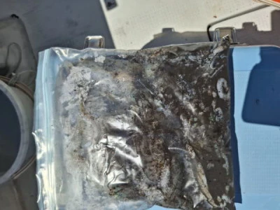 アーデン3号の2025年9月6日(土)1枚目の写真