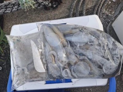 アーデン3号の2025年9月6日(土)2枚目の写真