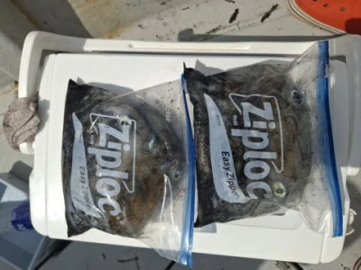 アーデン3号の2025年9月7日(日)1枚目の写真