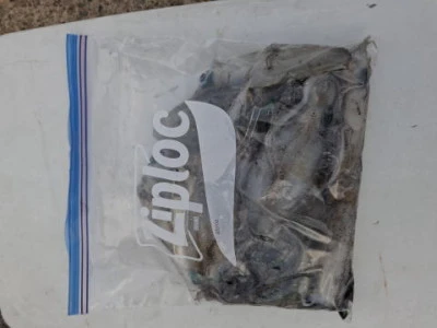 アーデン3号の2025年9月7日(日)2枚目の写真